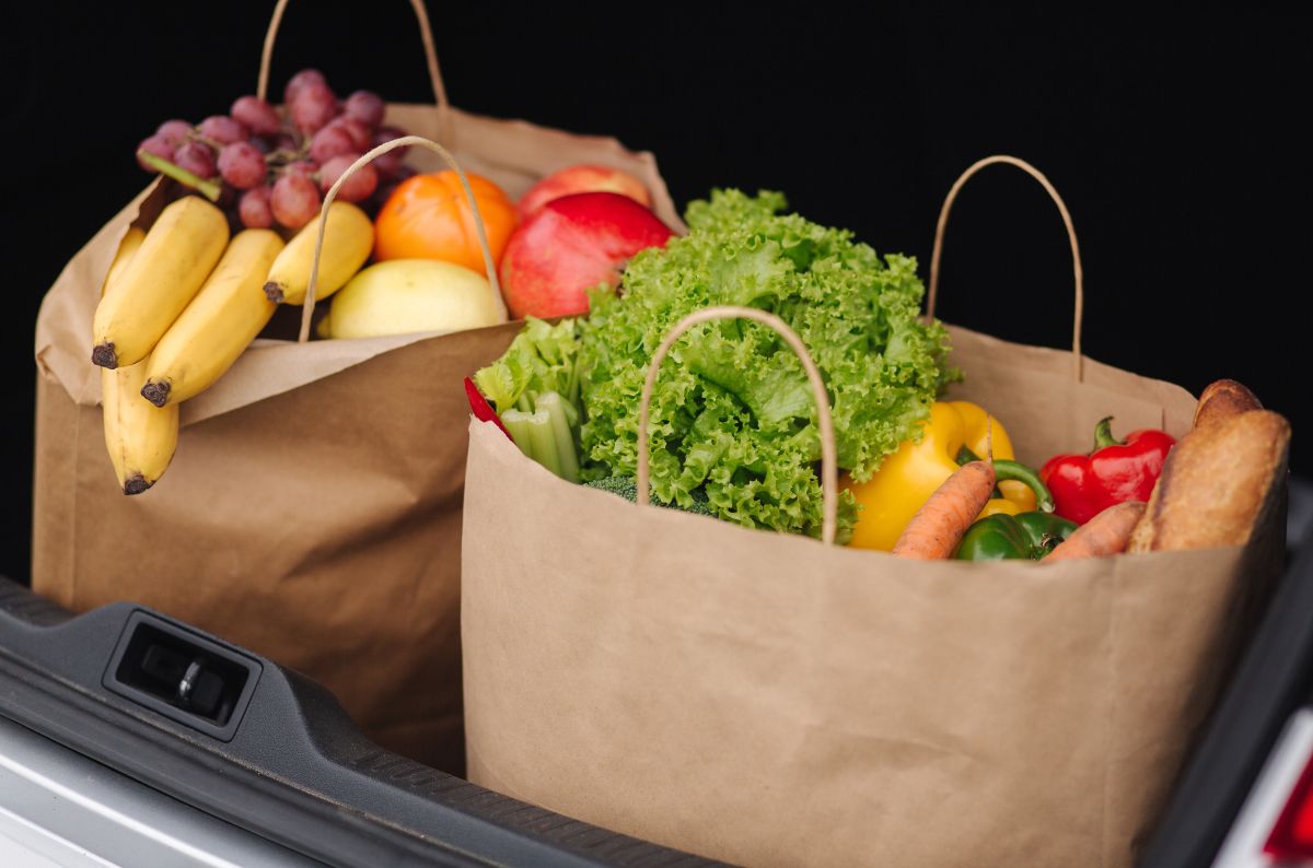 groceries snap benefits