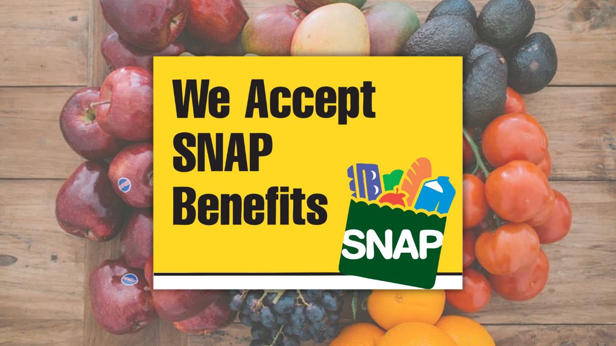 snap benefits TN june 2024 payment split
