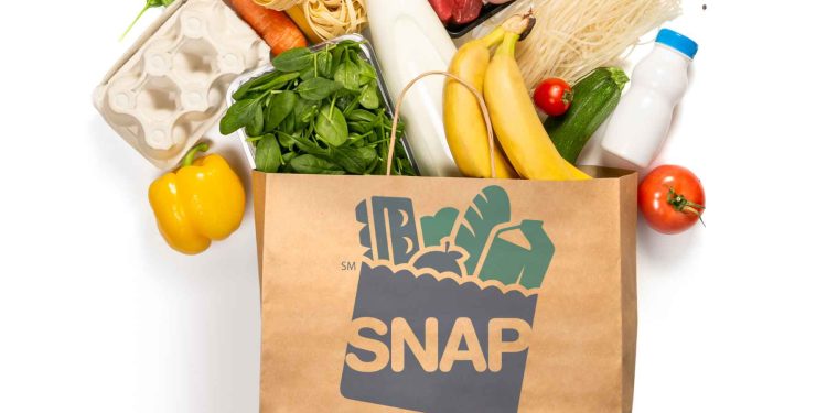 snap new round payments may 2024