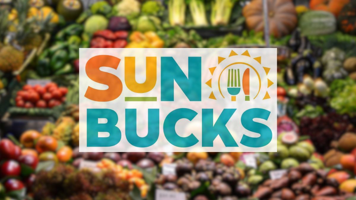 sun bucks Summer EBT illinois