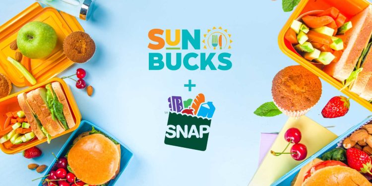 s-ebt snap sun bucks