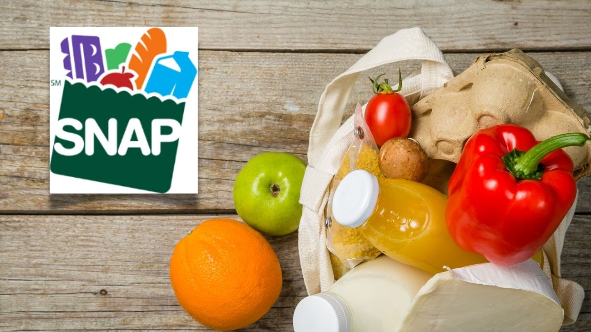 snap benefits amounts july 2024