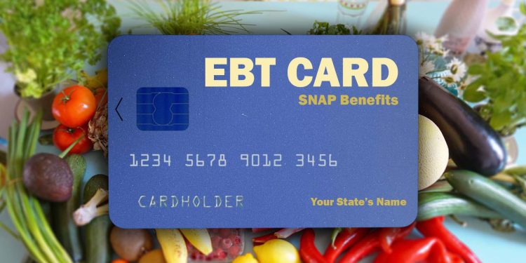 snap benefits card
