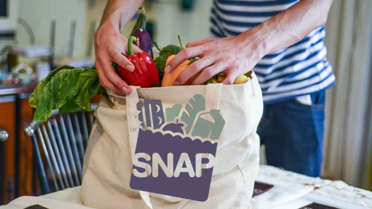 snap benefits groceries july 2024