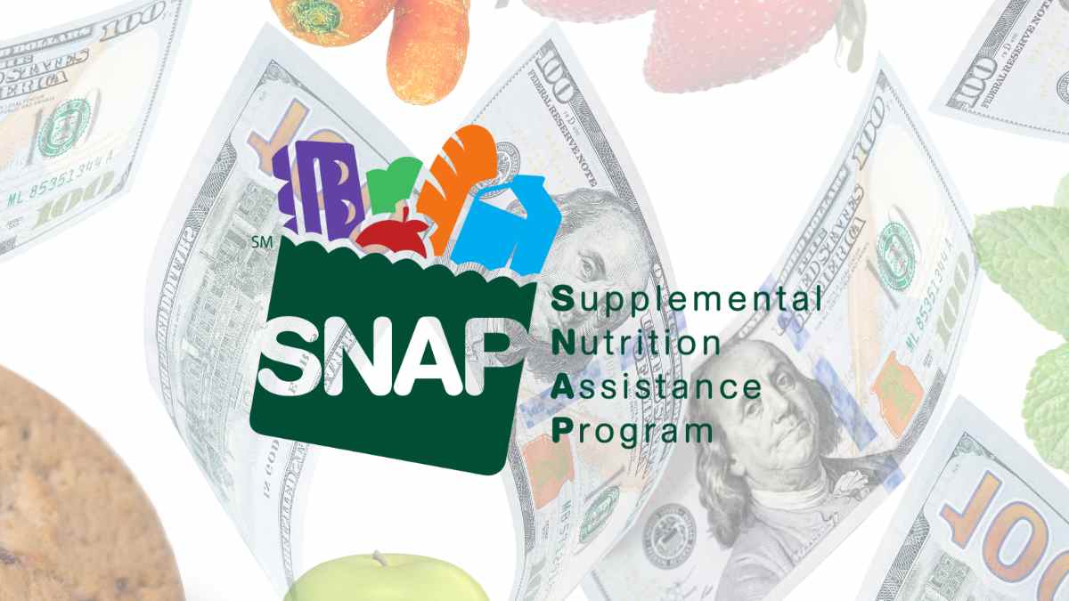 snap benefits july 2024 schedules states