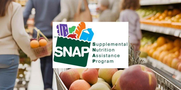 snap benefits top allotments by state