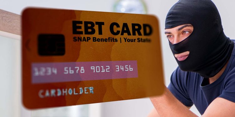 snap card ebt fraud