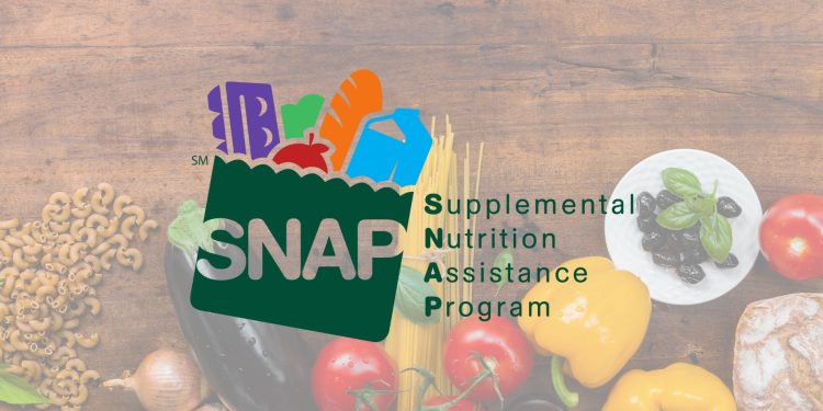 snap june 2024 schedul all states