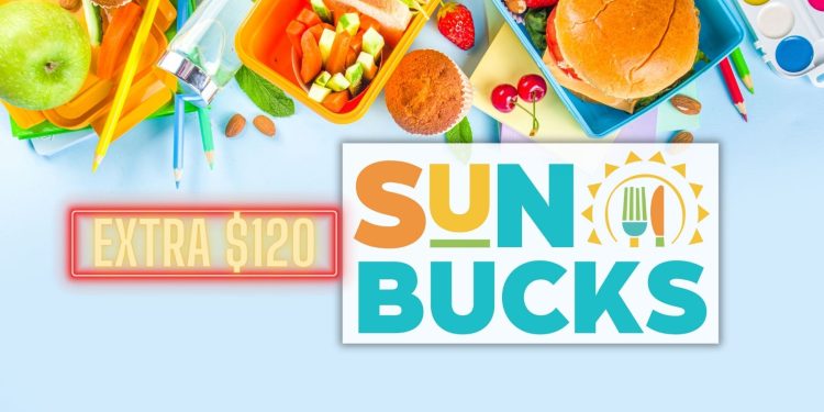 sun bucks states list 2024 summer ebt
