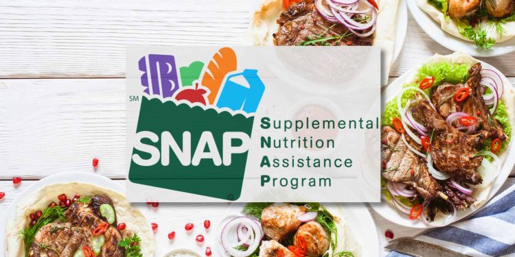 snap benefits florida aug 2024 dates