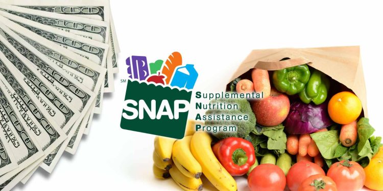 snap benefits florida dates july 2024