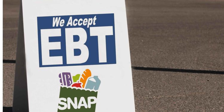 snap benefits florida july 2024