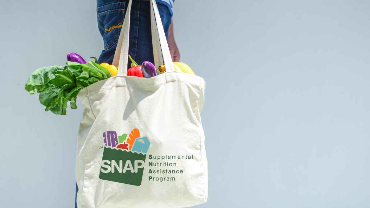 snap benefits july 2024 dates amounts maximum