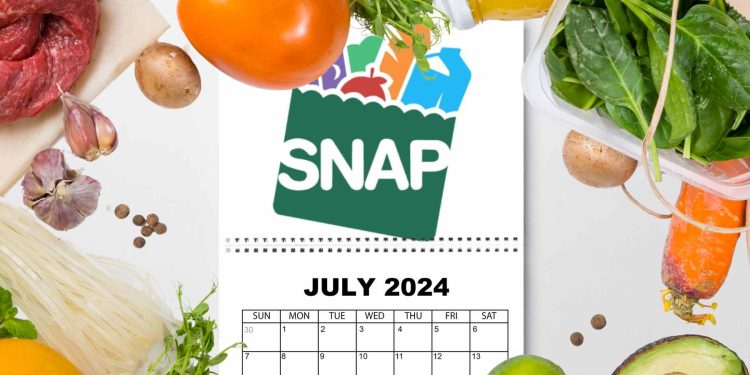 snap benefits july 2024 florida dcf