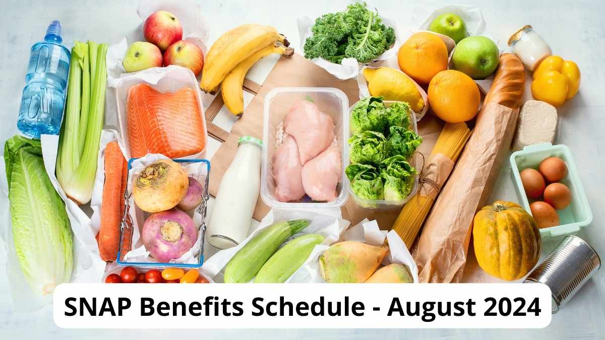 snap benefits schedule full every state august 2024