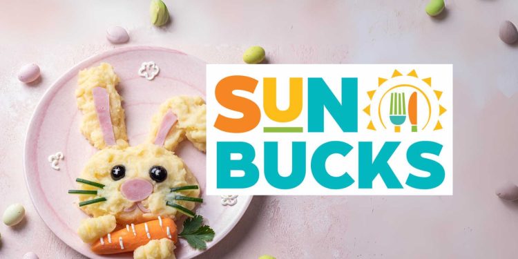 sun bucks august 2024