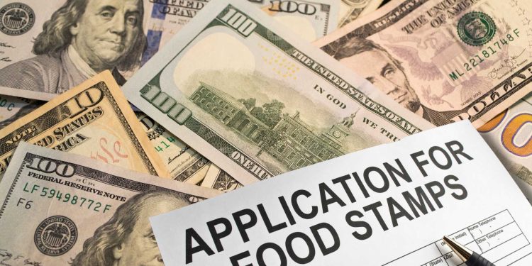 texas food stamps july 2024