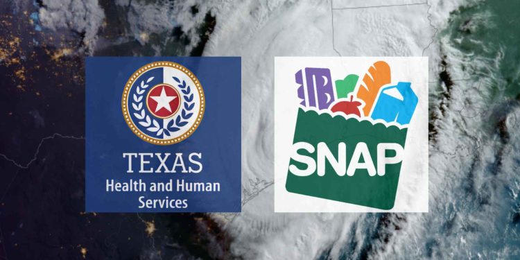 texas snap benefits beryl