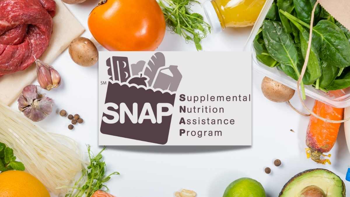 texas snap benefits july 2024 last week