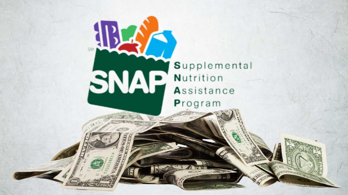 snap benefits 2024 eligibility amounts august