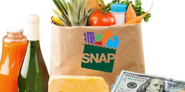 snap benefits apply august 2024