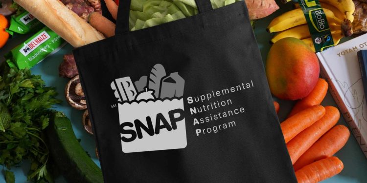 snap benefits august 2024 dates revealed