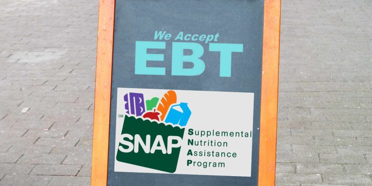 Do You Still Qualify for SNAP Benefits After Last Changes?