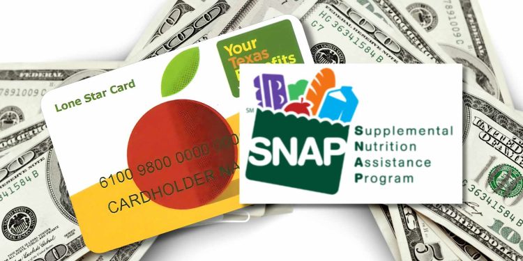 Texas SNAP Payments