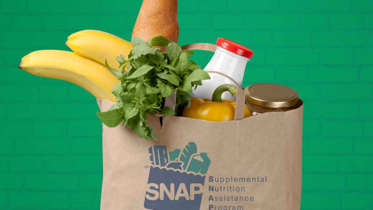 snap benefits groceries increments