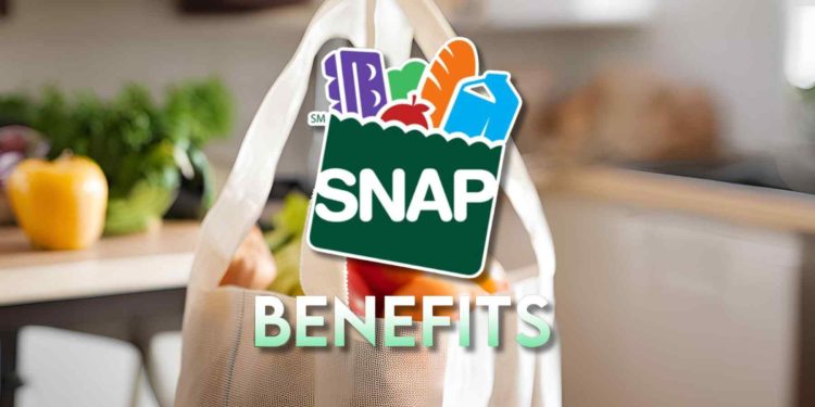 snap benefits 2024 requirements