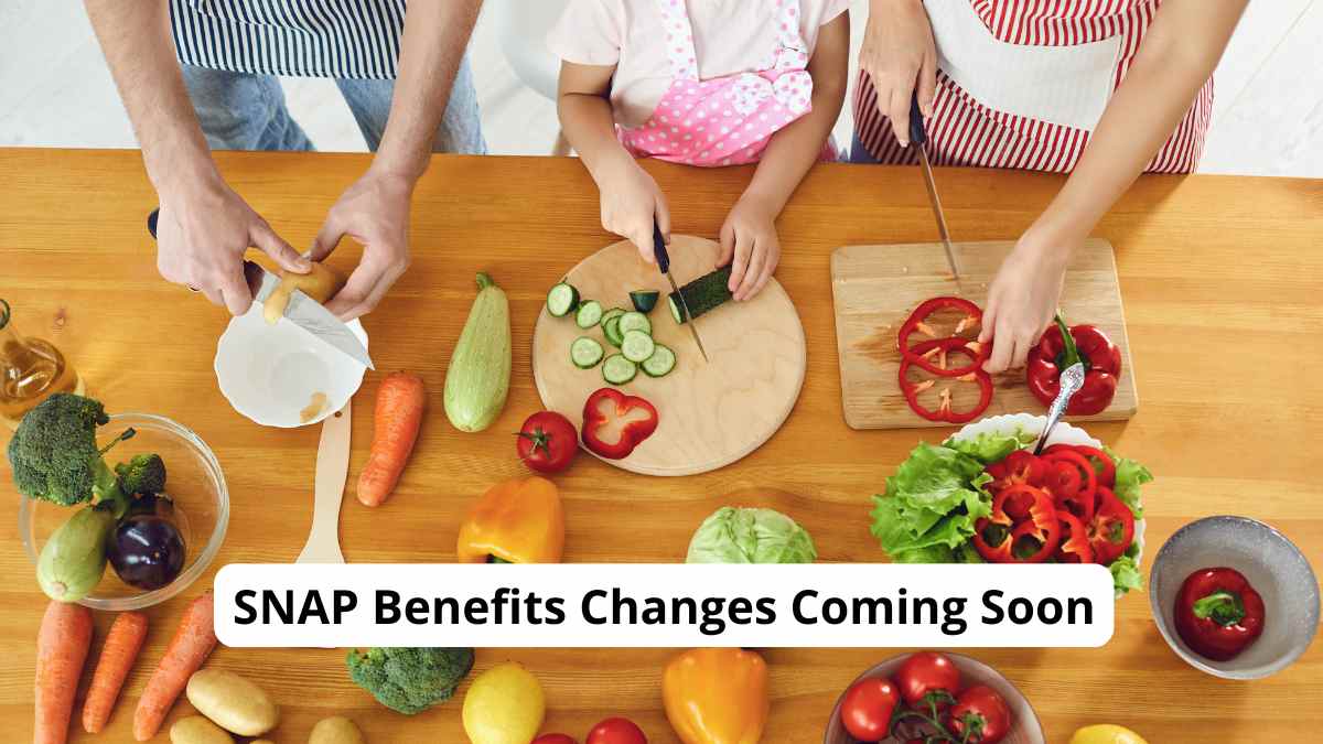 snap benefits 2024 requirements