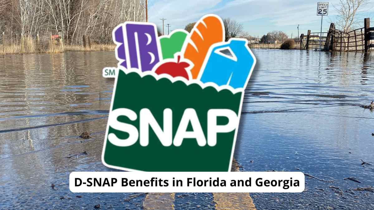 snap benefits florida georgia D-SNAP