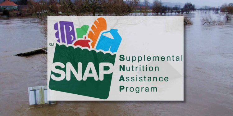 Florida and Georgia Food Stamps Recipients to Get D-SNAP Benefits