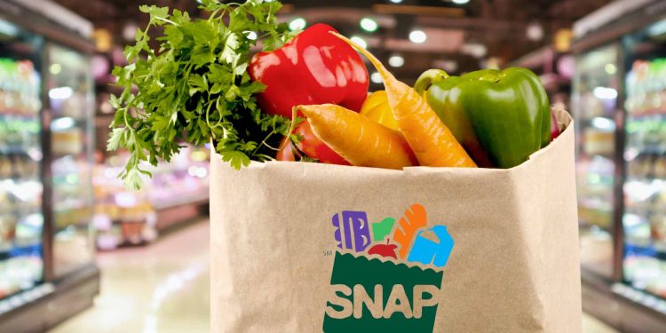 Texas SNAP Benefits Updates